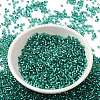 Glass Seed Beads X-SEED-S042-04B-29-2