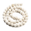 Natural Fossil Beads Strands G-H026-02C-3