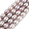 Natural Cultured Freshwater Pearl Beads Strands PEAR-P062-08E-2