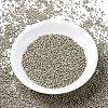 MIYUKI Delica Beads SEED-X0054-DB1168-2