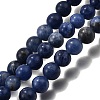 Natural Sodalite Round Bead Strands G-P072-27-6mm-2