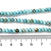 Natural Howlite Beads Strands G-H025-03C-01-5