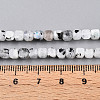 Natural Rainbow Moonstone Beads Strands G-T141-66-5