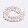 Wrinkle Textured Shell Pearl Beads Strands BSHE-E016-14mm-07-2