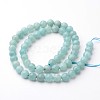 Natural Amazonite Beads Strands G-J376-17-10mm-2