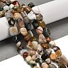 Natural Ocean Jasper Beads Strands G-P497-01E-90B-2