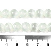 Natural Selenite Beads Strands G-C142-01A-06-5