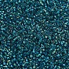 MIYUKI Delica Beads SEED-X0054-DB1764-3