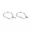 Non-Tarnish 304 Stainless Steel Hoop Earrings STAS-I149-11P-3