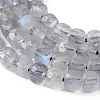 Natural Labradorite Beads Strands G-L537-021-2