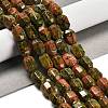 Natural Unakite Beads Strands G-F781-A04-01-2