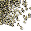 Transparent Stripe Glass Seed Beads GLAA-NH0001-06G-1