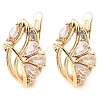 Brass with Cubic Zirconia Hoop Earrings EJEW-D078-43G-1