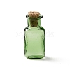 Rectangle Miniature Glass Bottles GLAA-H019-06E-1