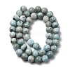 Natural Larimar Beads Strands G-B156-A01-8mm-4
