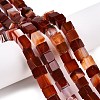 Natural Red Agate(Dyed & Heated) Beads Strands G-T139-8x8-35A-1