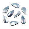 Natural Turbo Cornulus/Top Shells Cabochons SSHEL-N003-156A-2