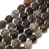 Natural Petrified Wood Beads Strands G-I376-A30-01-1