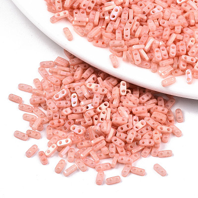 FGB 2-Hole Glass Seed Beads SEED-S031-S-SQ1202R-1