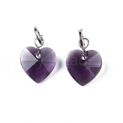 Faceted Transparent Glass Charms GLAA-T024-04A-1