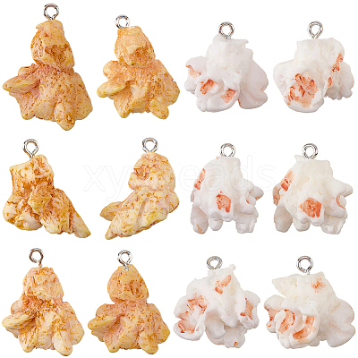 24Pcs 2 Colors Plastic Pendants KY-SC0002-66-1