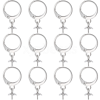 40Pcs 304 Stainless Steel Leverback Earring Findings STAS-SC0006-49-1