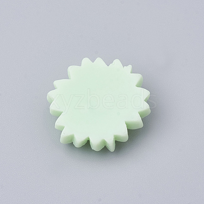 Resin Cabochons CRES-N007-10K-1