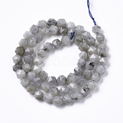 Natural Labradorite Beads Strands G-R465-33A-1