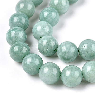 Natural Myanmar Jade/Burmese Jade Beads Strands G-T064-22-10mm-1