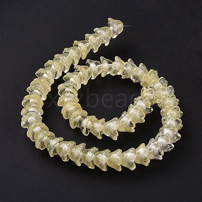 Transparent Glass Beads Strands LAMP-H061-01C-05-1