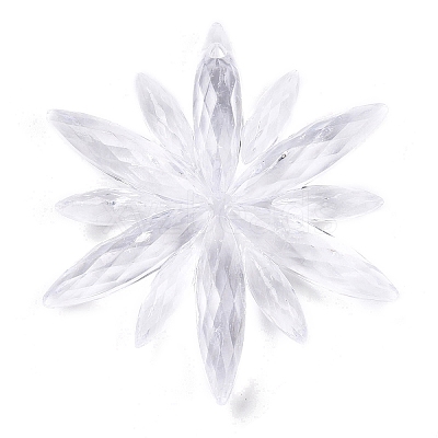 Transparent Acrylic Pendants TACR-T028-10A-1