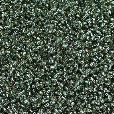 MIYUKI Delica Beads SEED-MY11-DB2165-1