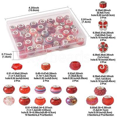 40Pcs 20 Styles Resin & Glass European Beads RPDL-FS0001-03-1