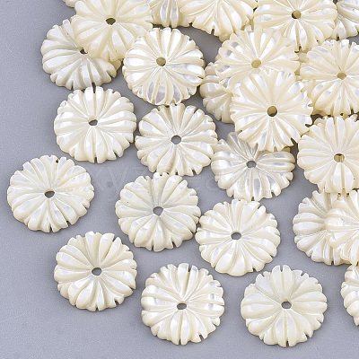 Natural White Shell Beads X-SSHEL-R045-23-1