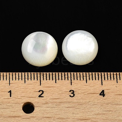 Natural White Shell Cabochons X-SSHEL-M022-01D-1