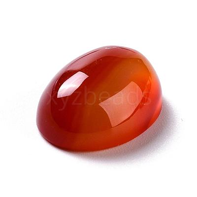 Oval Natural Carnelian Cabochons G-K020-20x15mm-05-1
