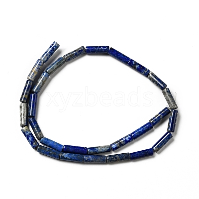 Natural Lapis Lazuli Beads Strands G-I326-05A-1