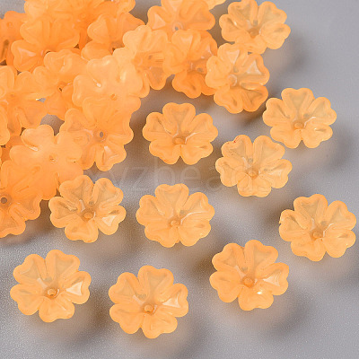 Transparent Frosted Acrylic Bead Caps MACR-S371-04A-724-1
