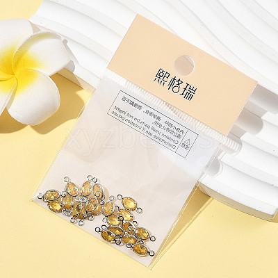 SHEGRACE Brass Pave Cubic Zirconia Oval Connector Charms XGRQ2O407-439C-P-1