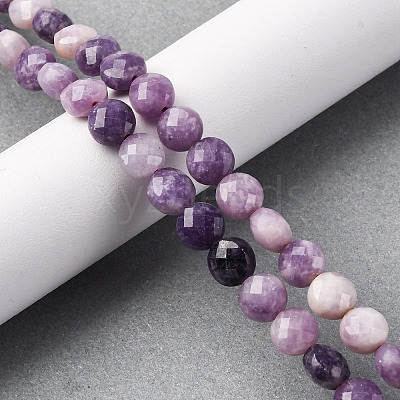 Natural Lepidolite/Purple Mica Stone Beads Strands G-C179-A38-03-1