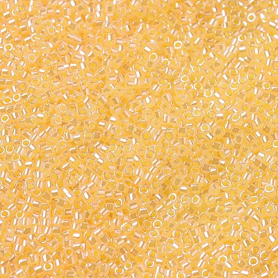 MIYUKI Delica Beads X-SEED-J020-DB0233-1