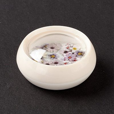 DIY Crystal Epoxy Resin Material Filling DIY-E036-17-1