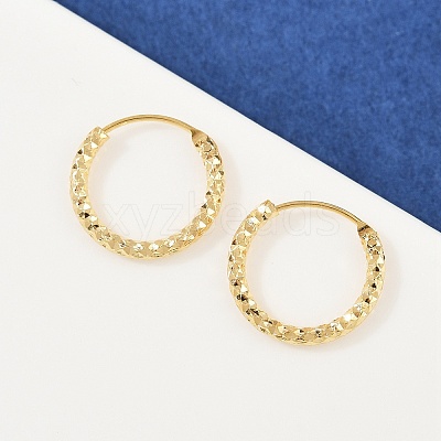 Brass Textured Hoop Earrings EJEW-F378-03B-G-1