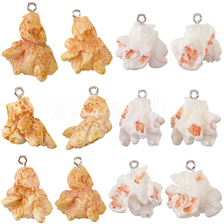 24Pcs 2 Colors Plastic Pendants KY-SC0002-66-1