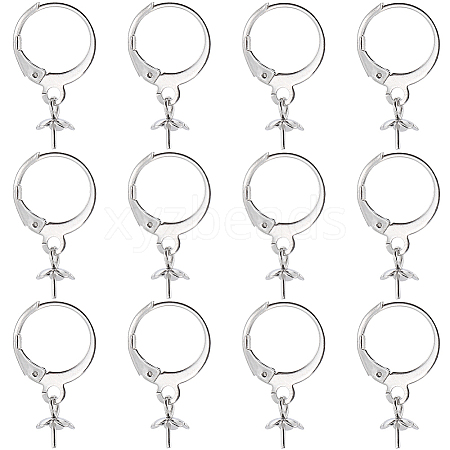 SUNNYCLUE 40Pcs 304 Stainless Steel Leverback Earring Findings STAS-SC0006-49-1