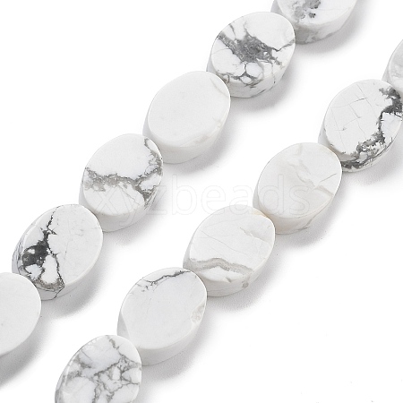 Natural Howlite Beads Strands G-P559-B05-01-1