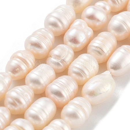 Natural Cultured Freshwater Pearl Beads Strands PEAR-P062-15A-1