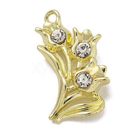 Alloy Rhinestone Pendants PALLOY-F312-51G-01-1