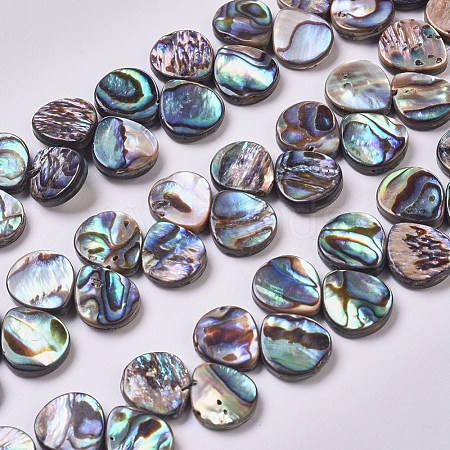 Abalone Shell/Paua Shell Beads Strands BSHE-L043-03-1