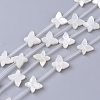 Natural White Shell Beads SSHEL-S264-070-1